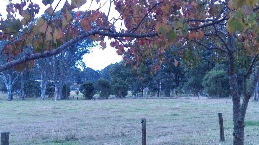 Gloucester Country Lodge Motel Buitenkant foto